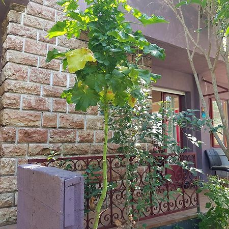 Chambres Privees Maison Jardin Toutes Commodites Partagees Valras-Plage Exterior photo